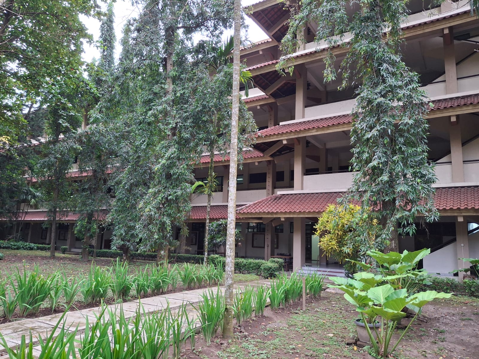 Gedung Perkuliahan